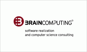 Brain Computing